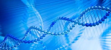 肽与健康长寿的奥秘 网络信息时代的新视角